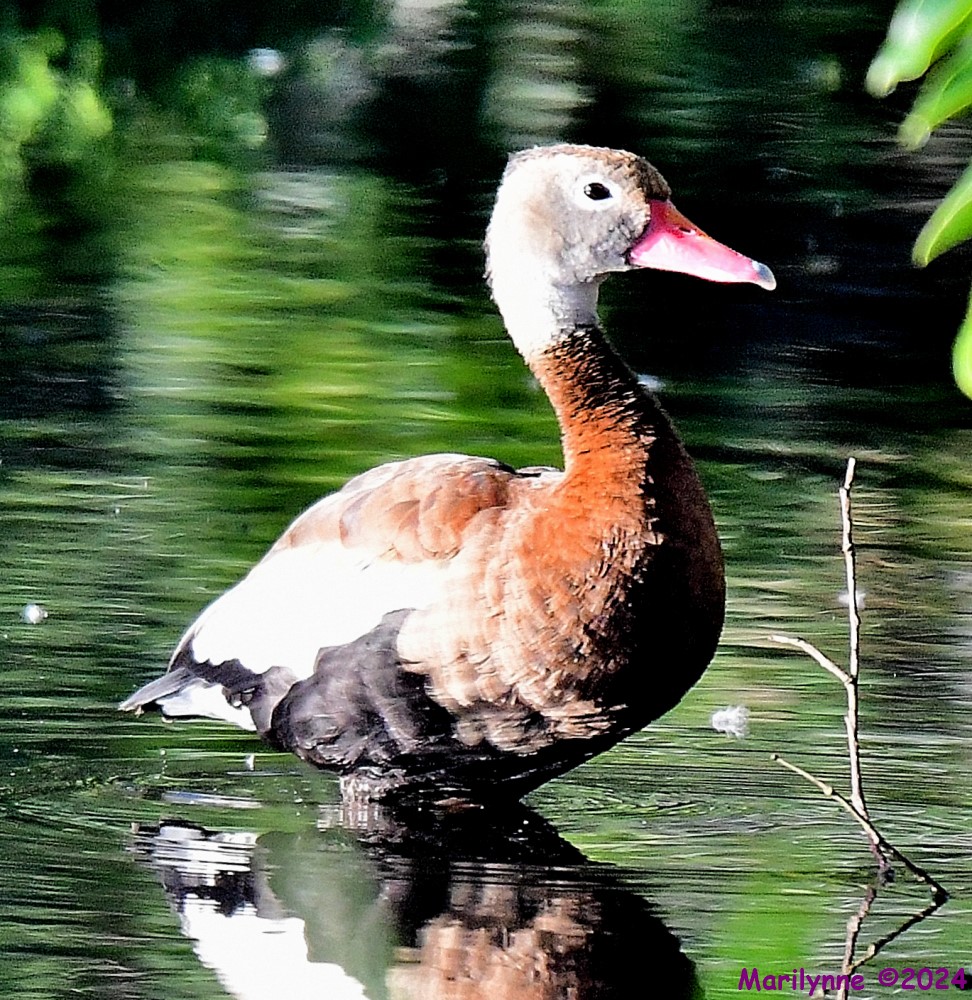DSC_5891_001.JPG