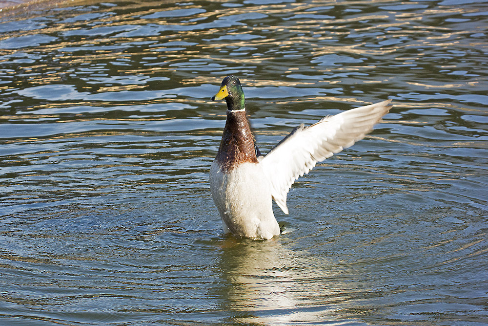 DSC_5902.jpg