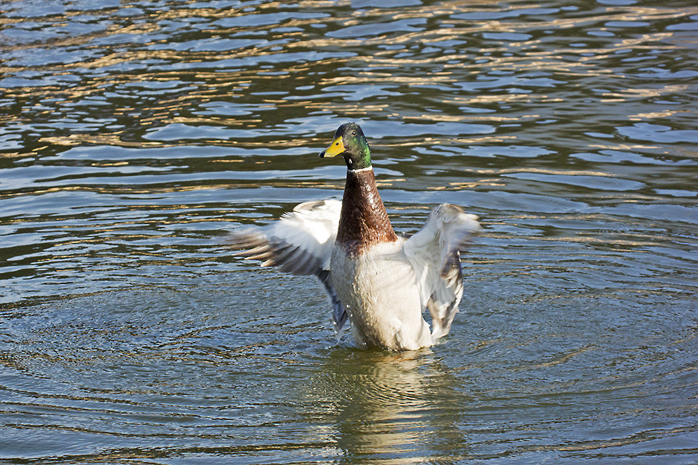 DSC_5903.jpg