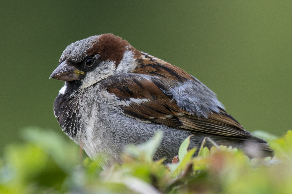 DSC_5908.jpg