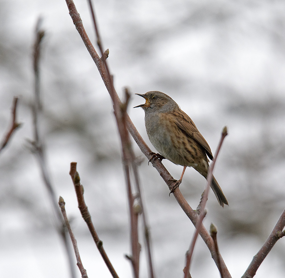 DSC_5910.jpg