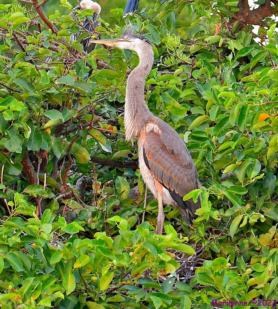 DSC_5912_001.JPG