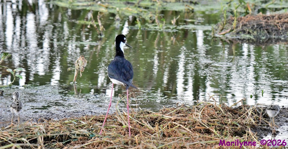 DSC_5914_001.JPG