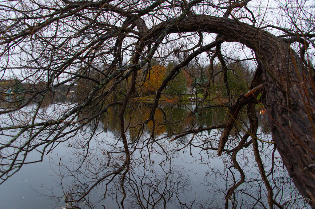DSC_5916.jpg