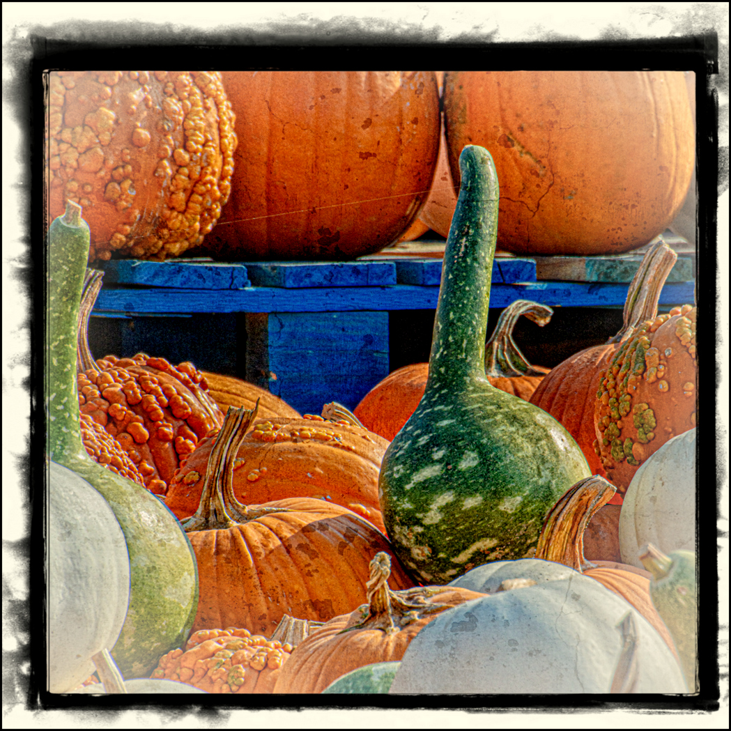 DSC_5917-Enhanced-Edit.JPG