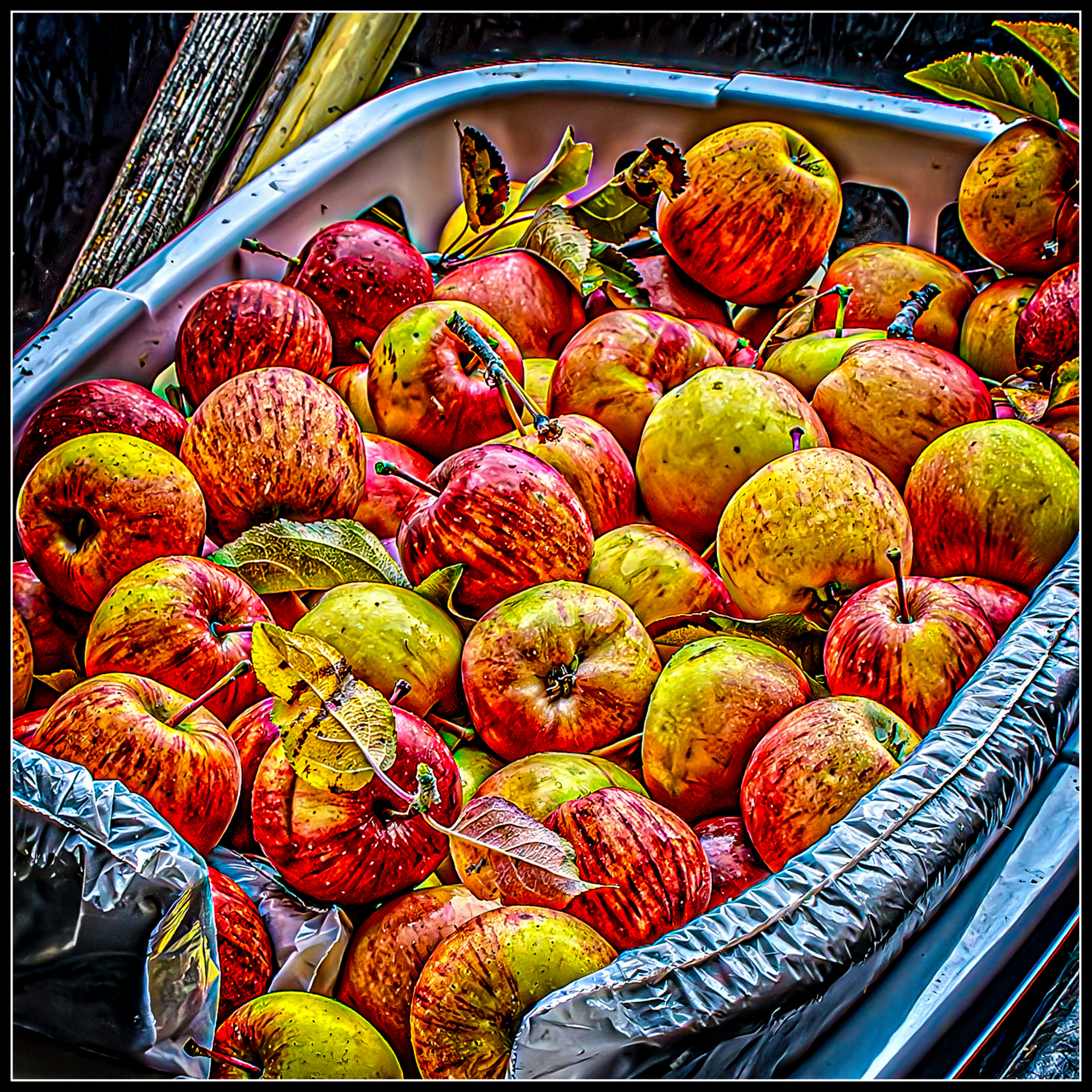 DSC_5917-Enhanced-NR-Edit-Edit.jpg