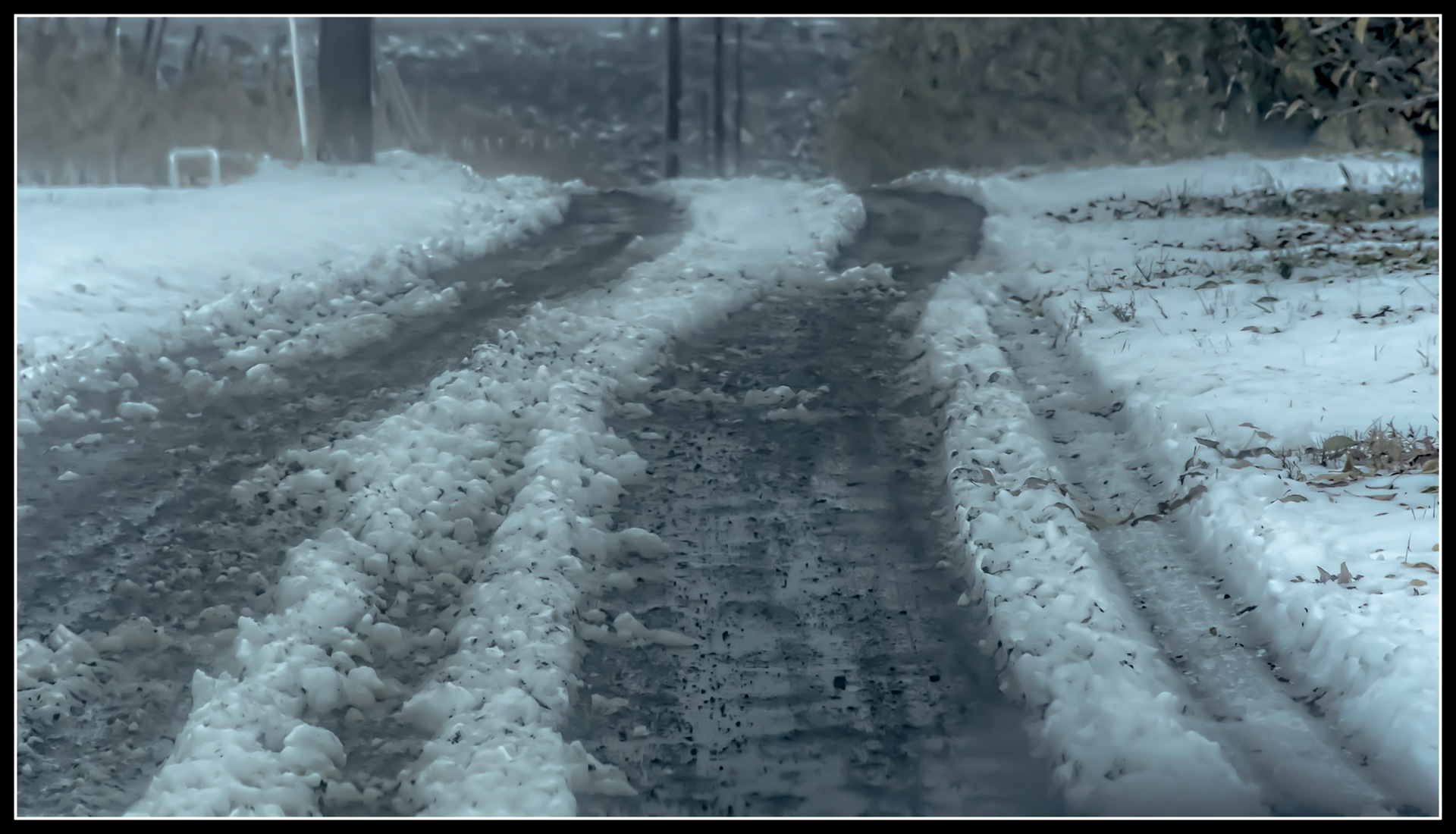 DSC_5918-Edit.jpg