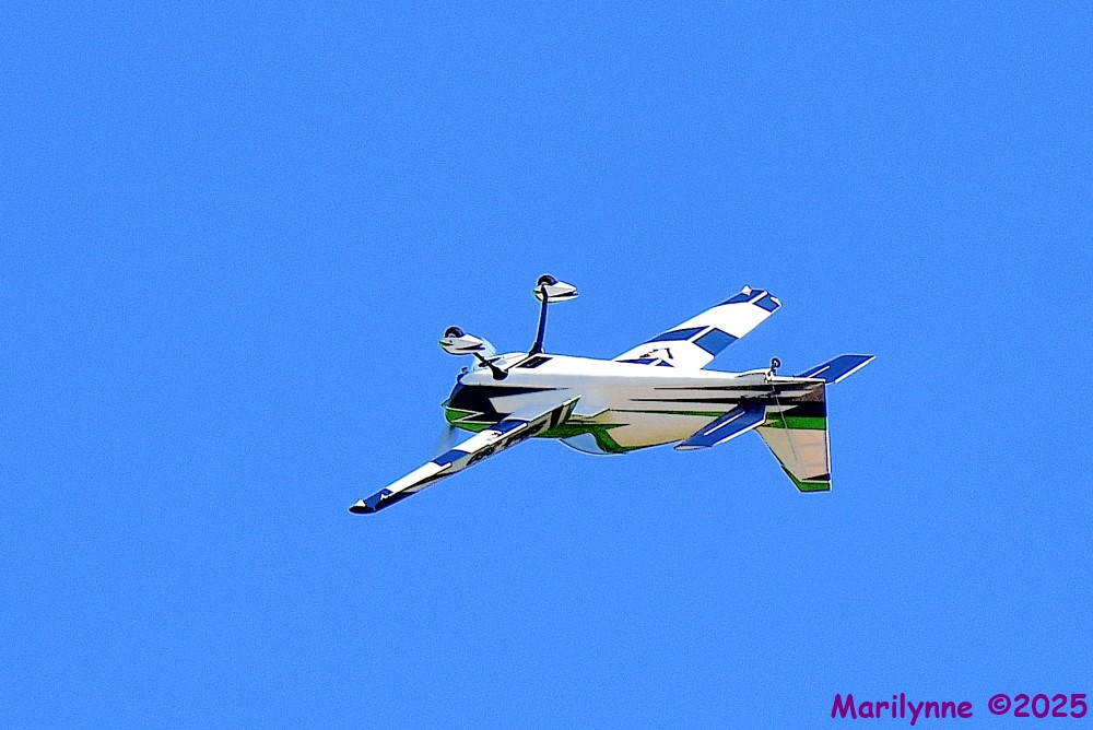DSC_5921_001.JPG