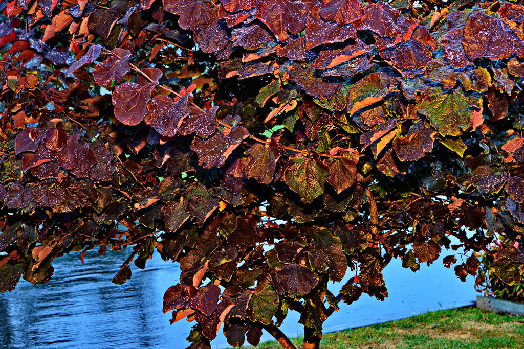 DSC_5922.jpg