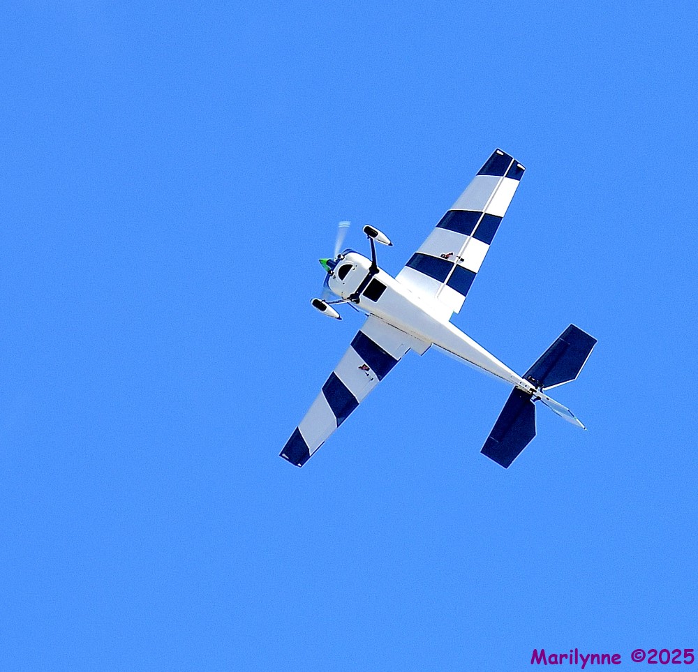 DSC_5922_001.JPG