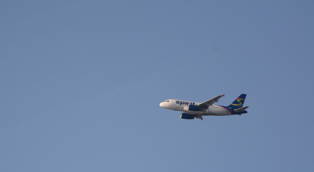 DSC_5923.JPG