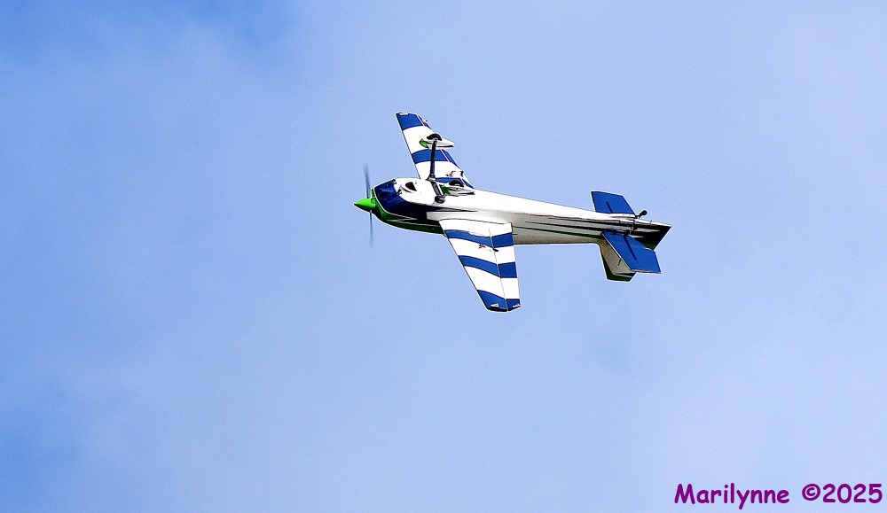 DSC_5923_001.JPG