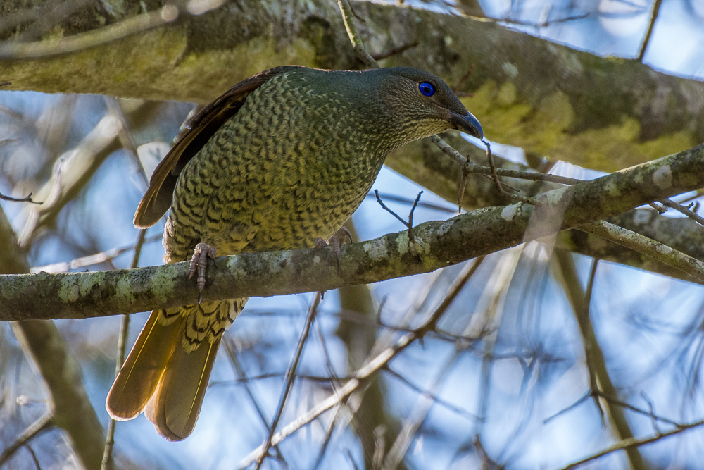 DSC_5927.jpg