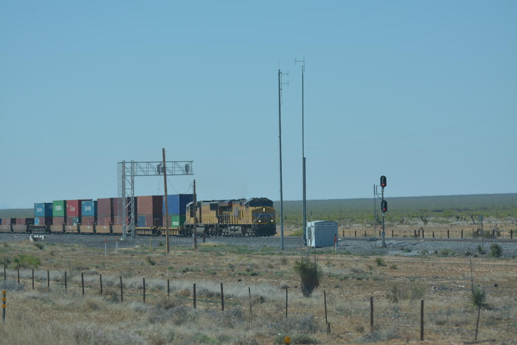 DSC_5933.jpg