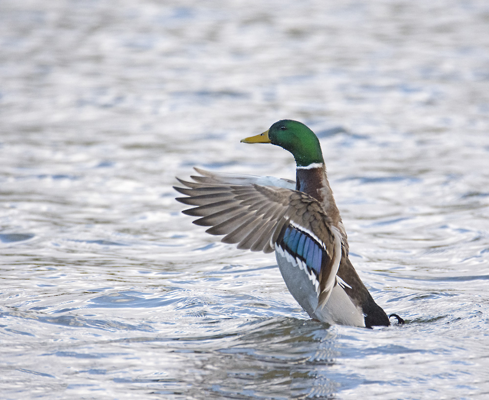 DSC_5933.jpg