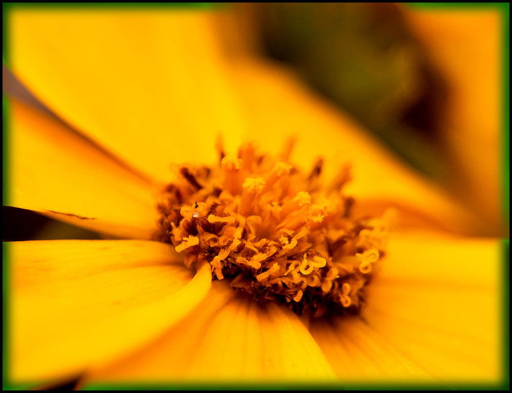 DSC_5934.jpg