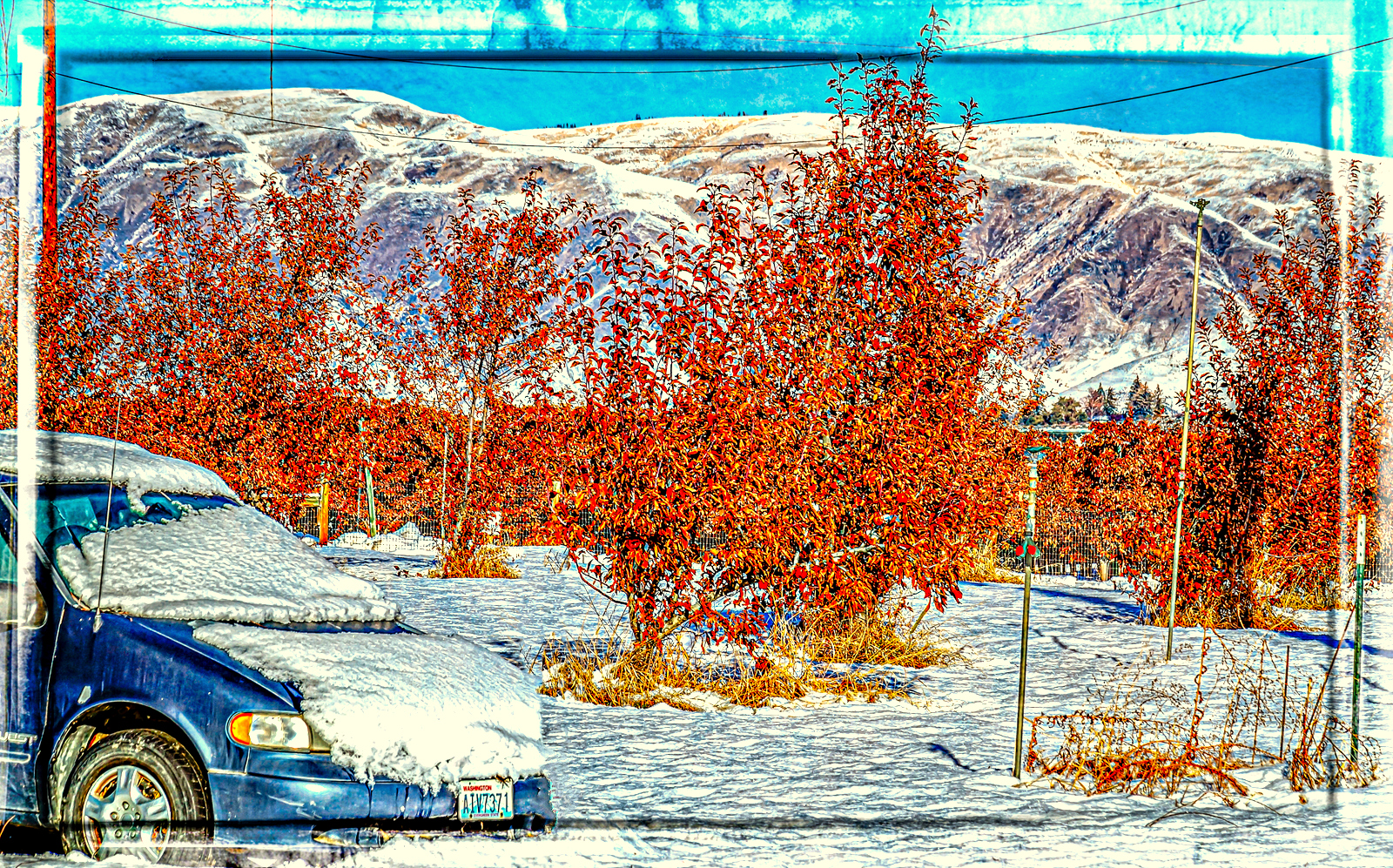 DSC_5936-Edit.JPG