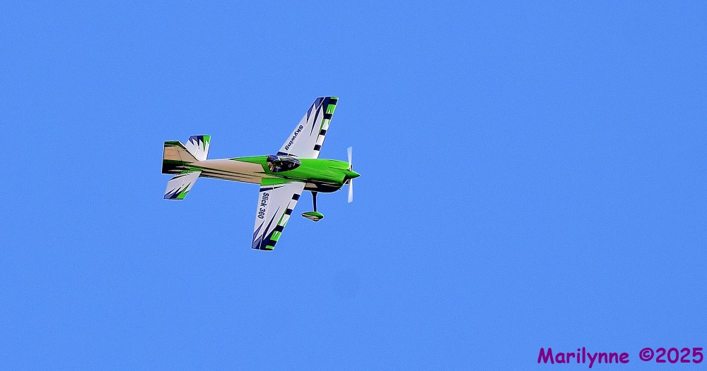 DSC_5936_001.JPG
