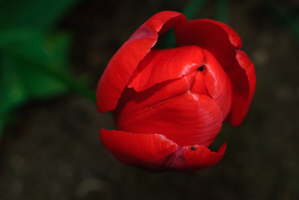 DSC_5936_edited-1.jpg