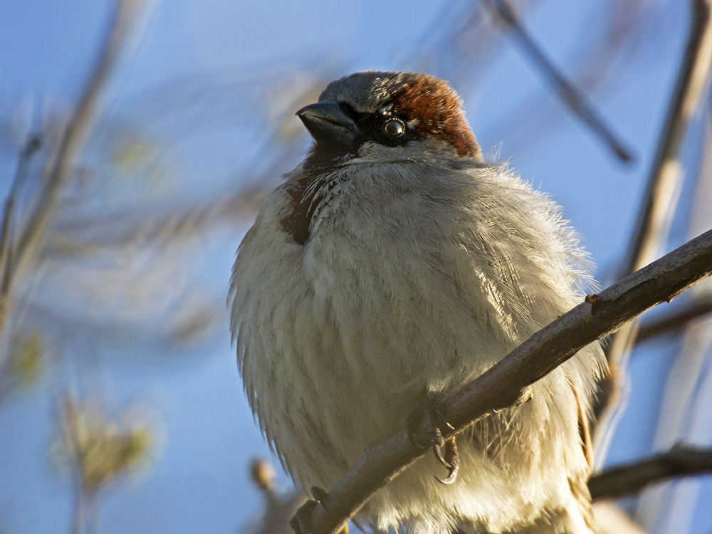 DSC_5941.jpg