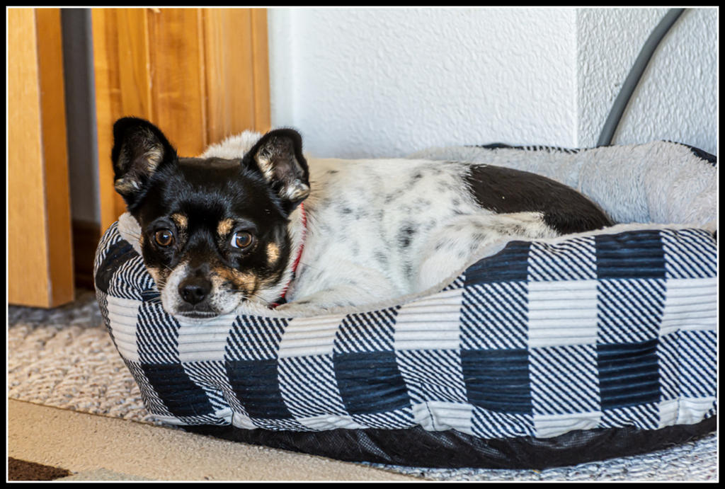 DSC_5942.jpg