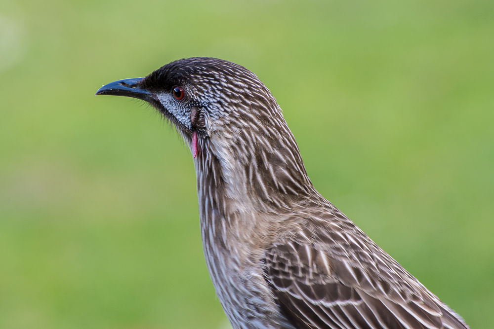 DSC_5944.jpg