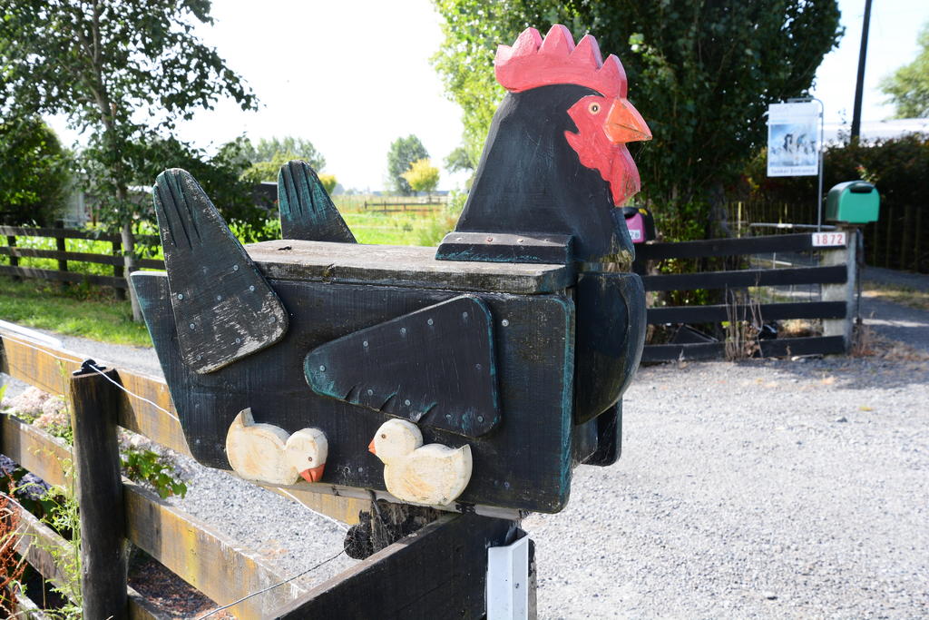 DSC_5947.jpg