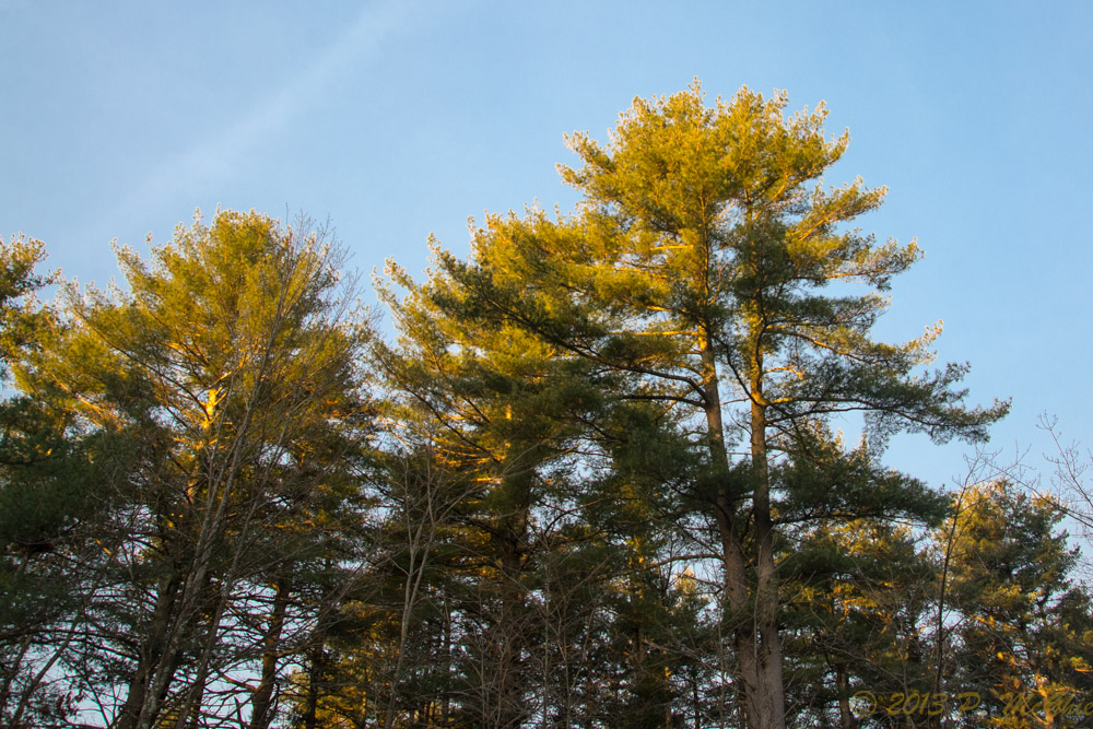 DSC_5948.jpg