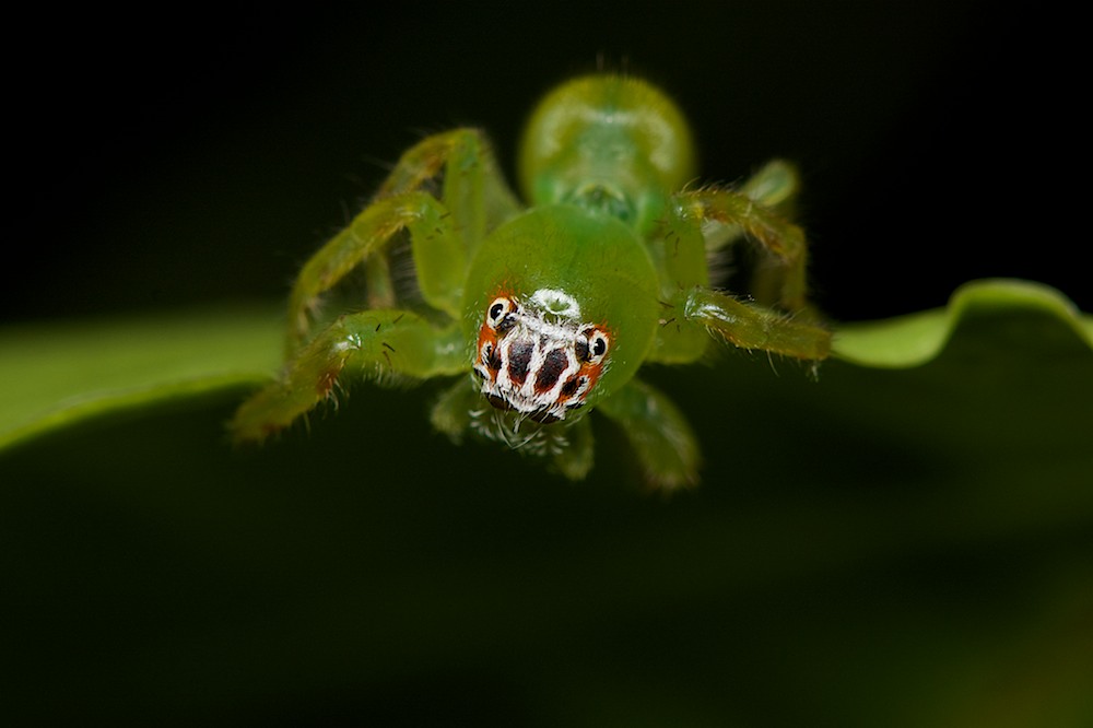 DSC_5950.jpg