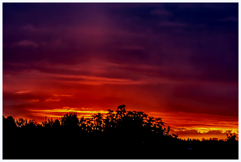 DSC_5953-HDR.jpg