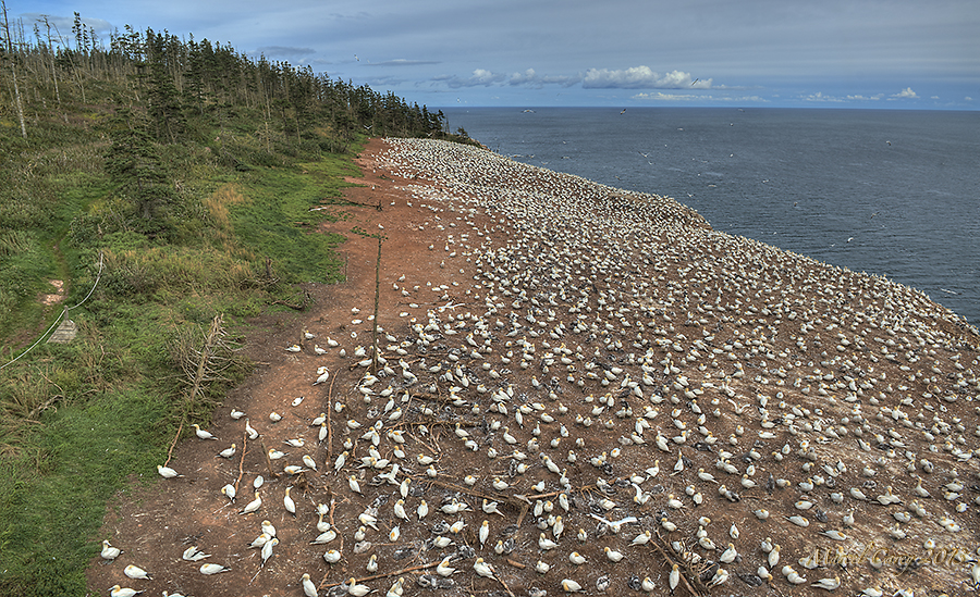 DSC_5954_5_6_tonemapped.jpg