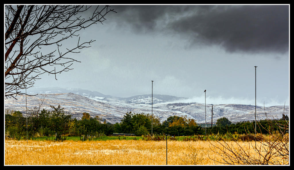 DSC_5958.jpg