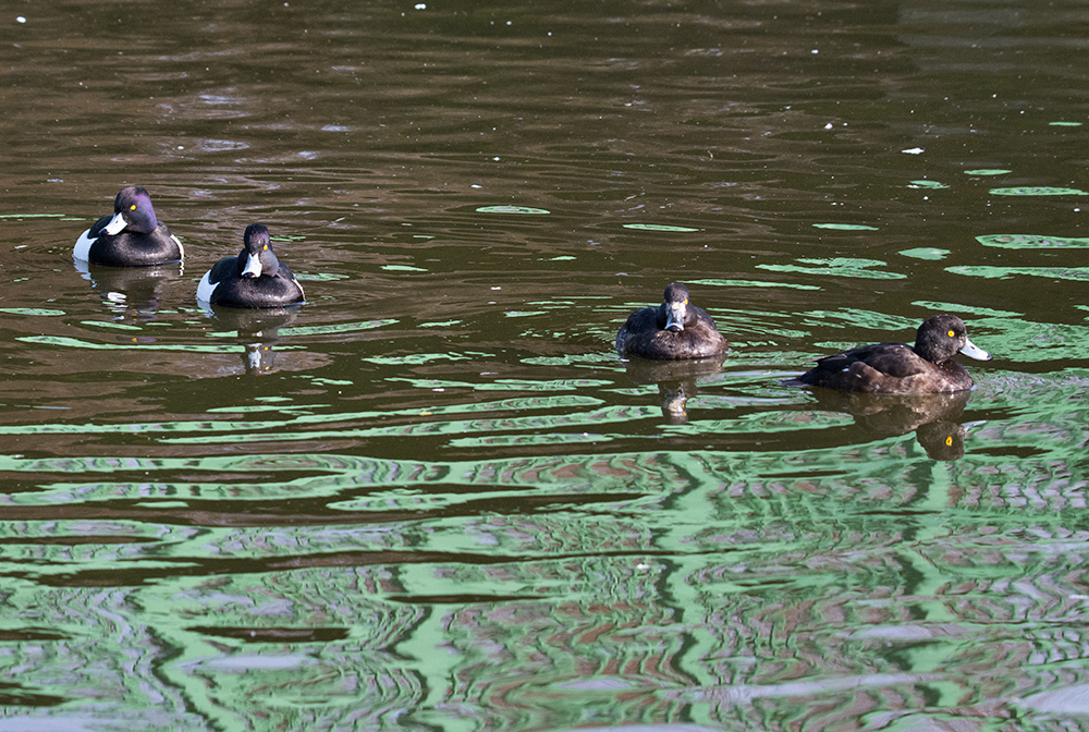 DSC_5961.jpg