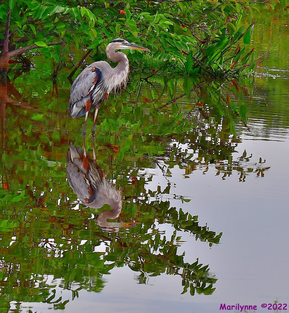 DSC_5961_001.JPG