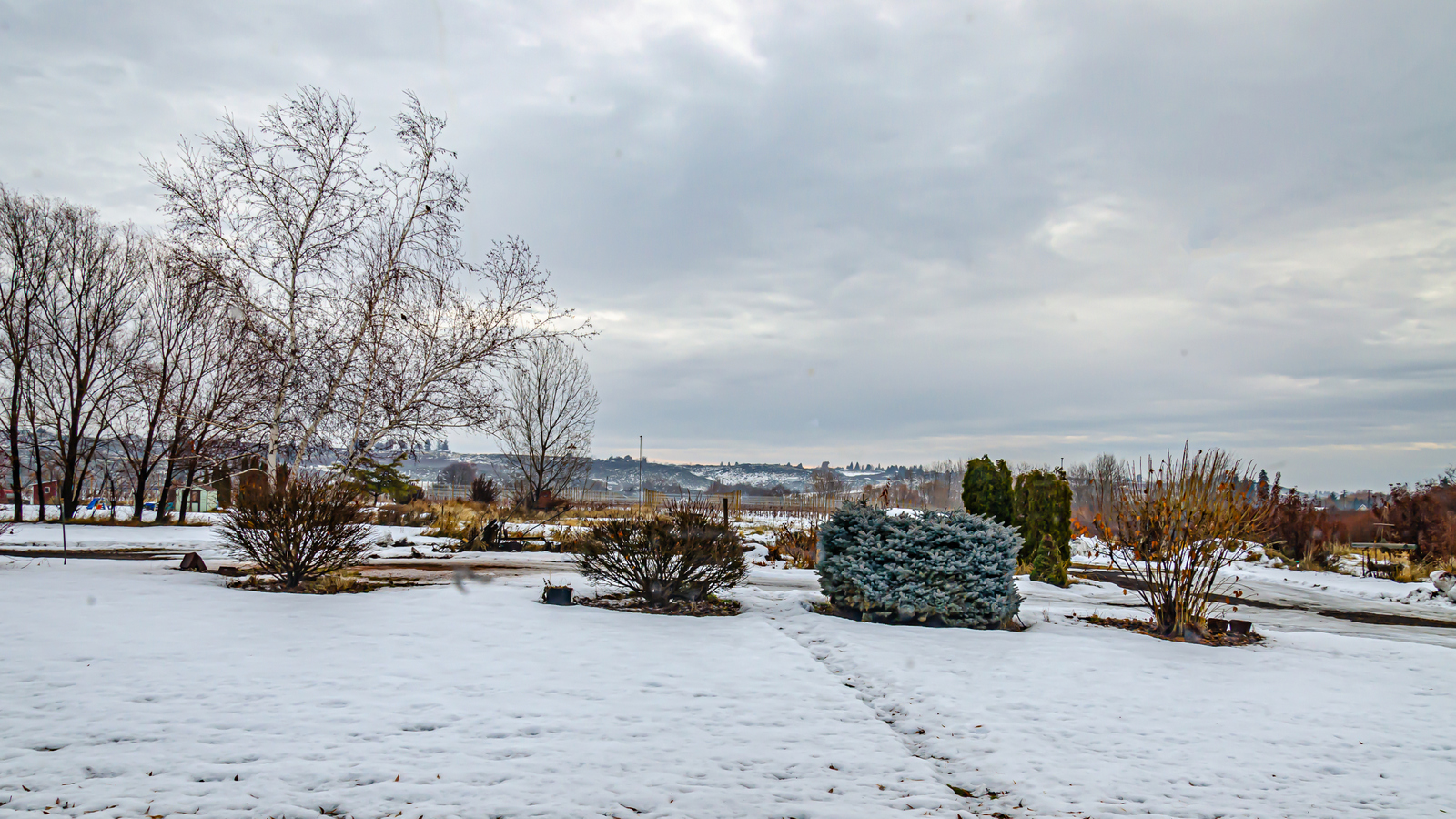 DSC_5962.JPG