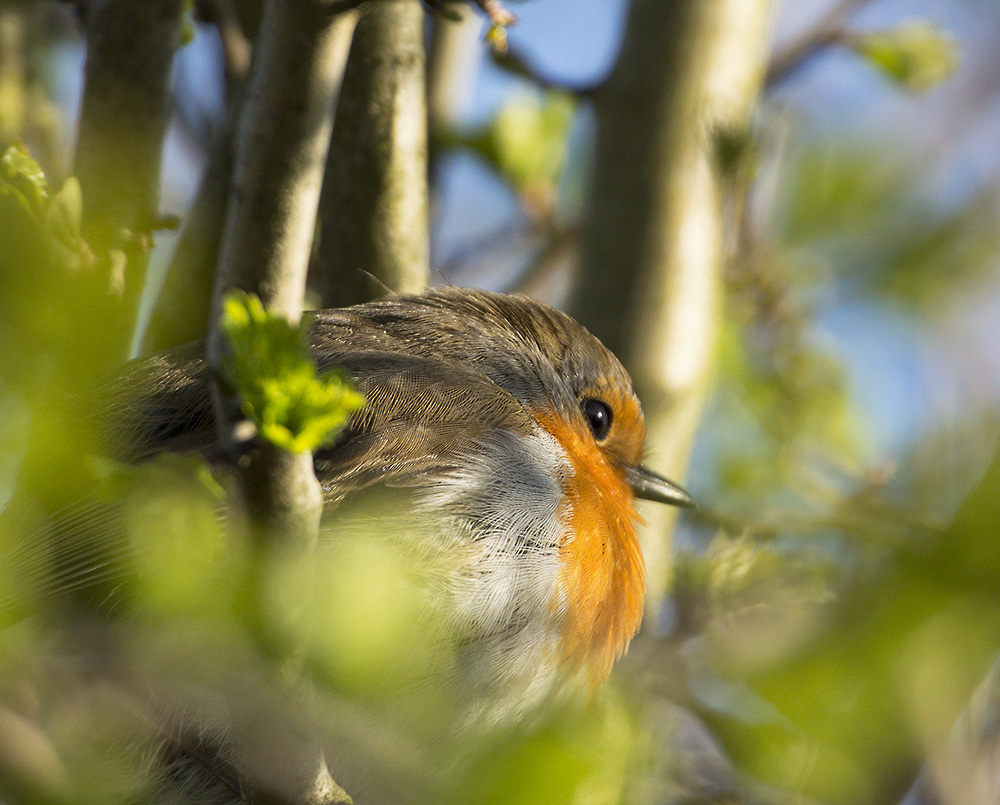 DSC_5963.jpg
