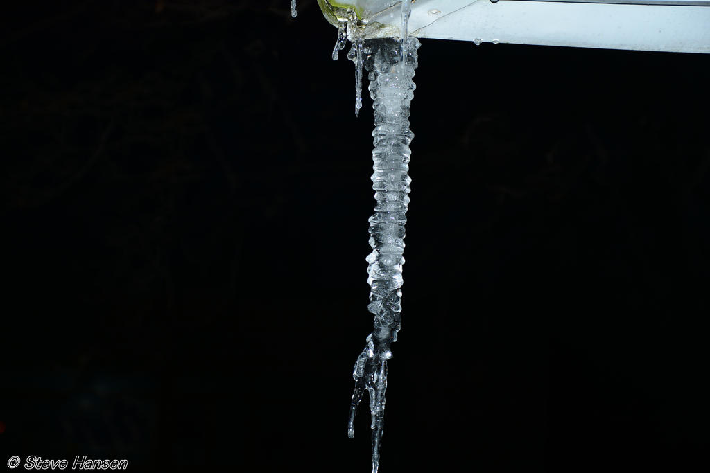 DSC_5968.jpg