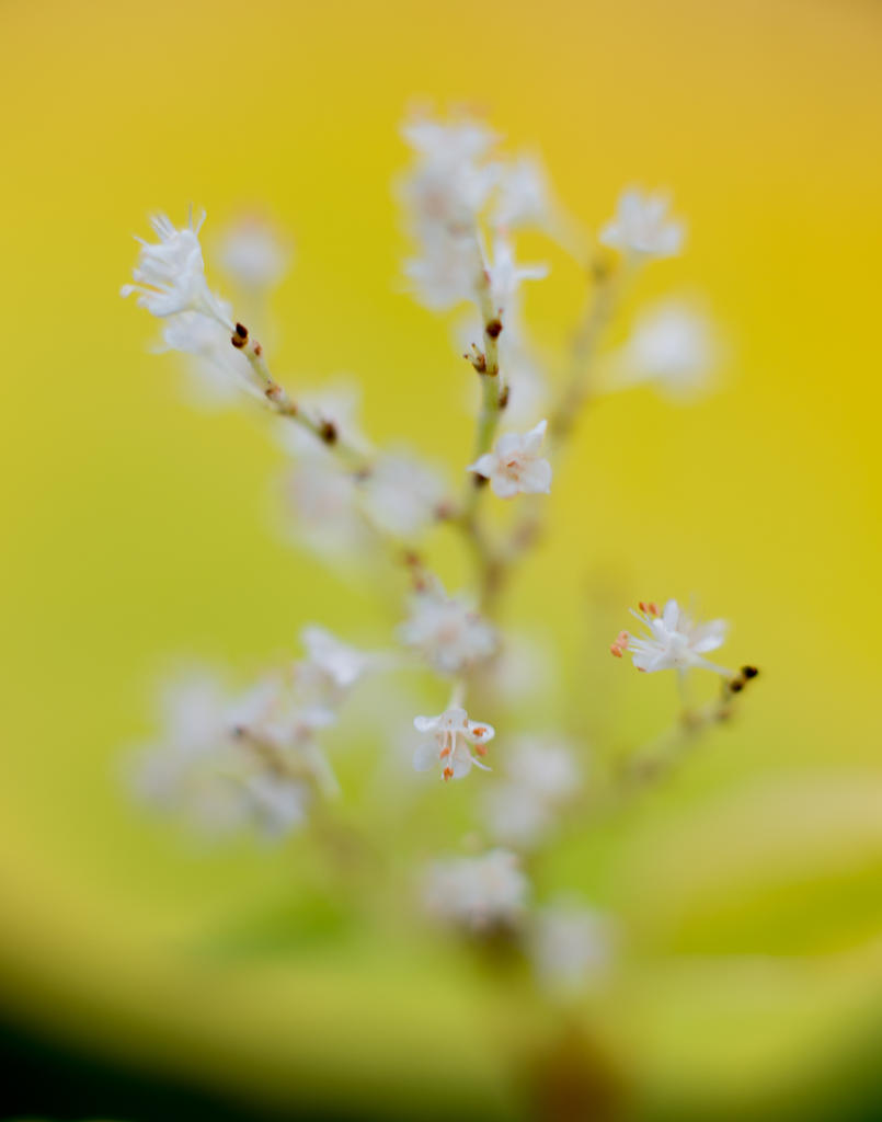 DSC_5970-2.jpg