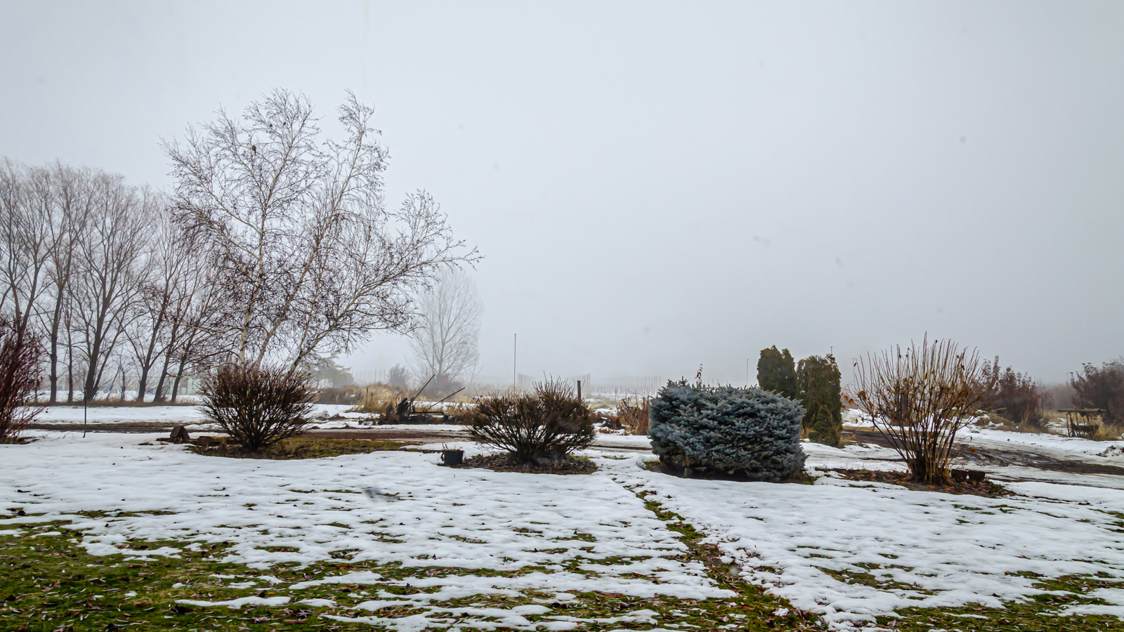 DSC_5972.JPG