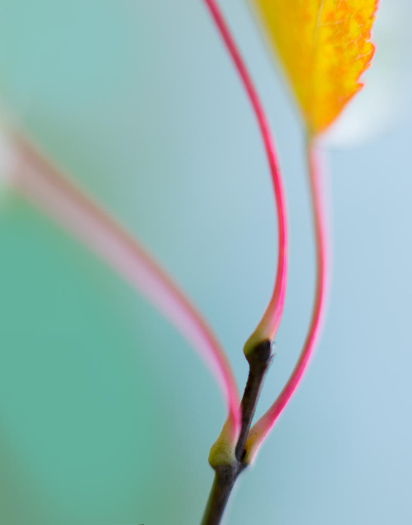 DSC_5973-2-Modifier.jpg