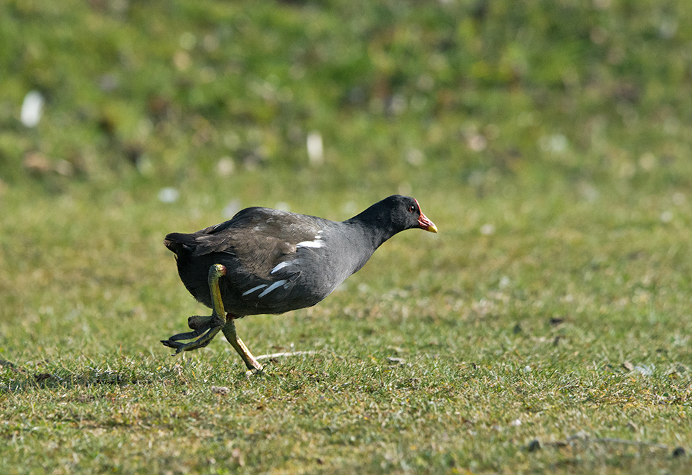 DSC_5974.jpg