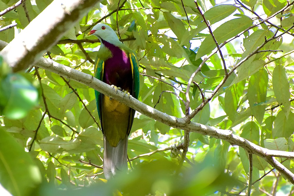 DSC_5975.jpg
