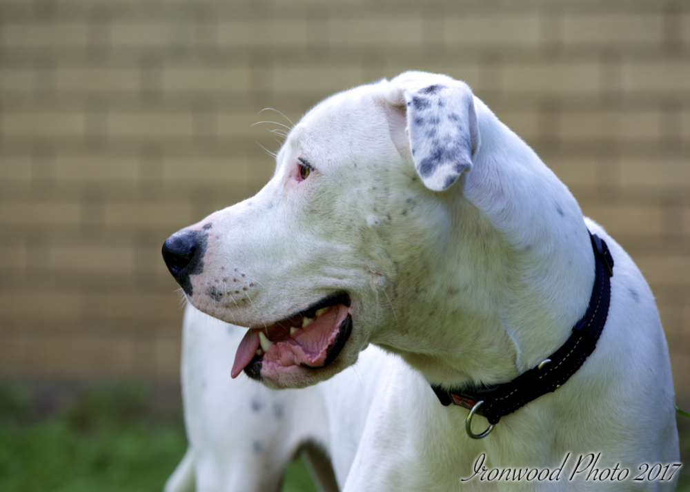 DSC_5977.jpg