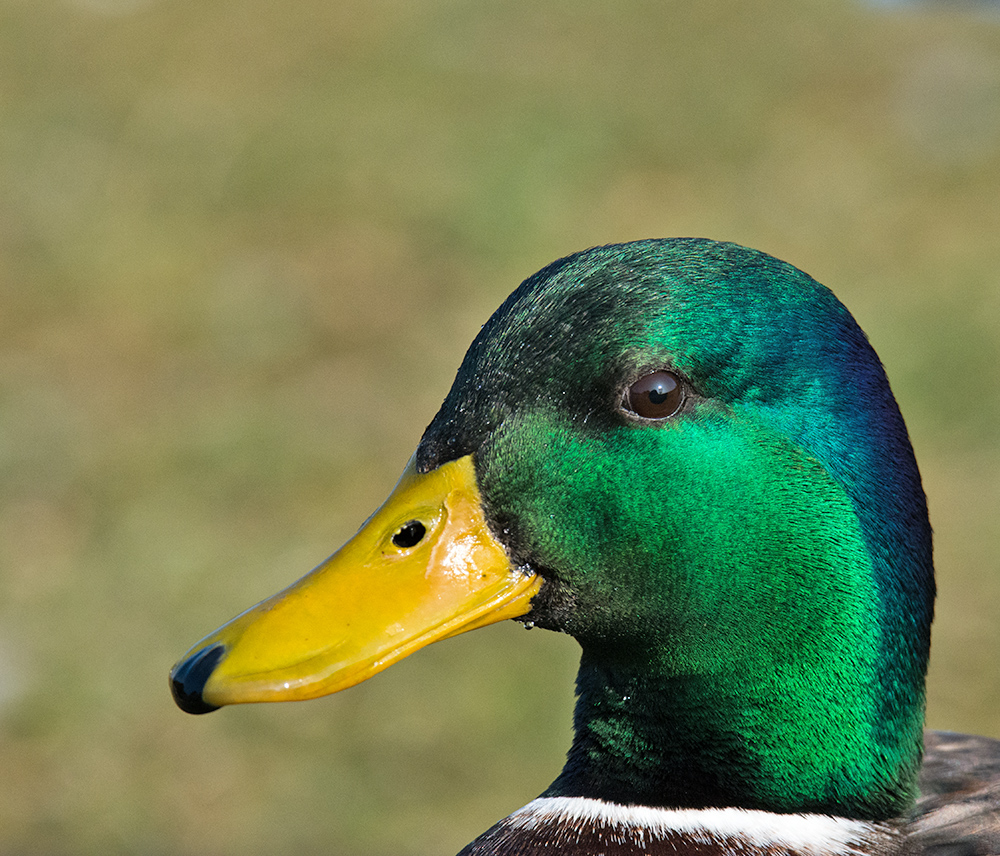 DSC_5979.jpg