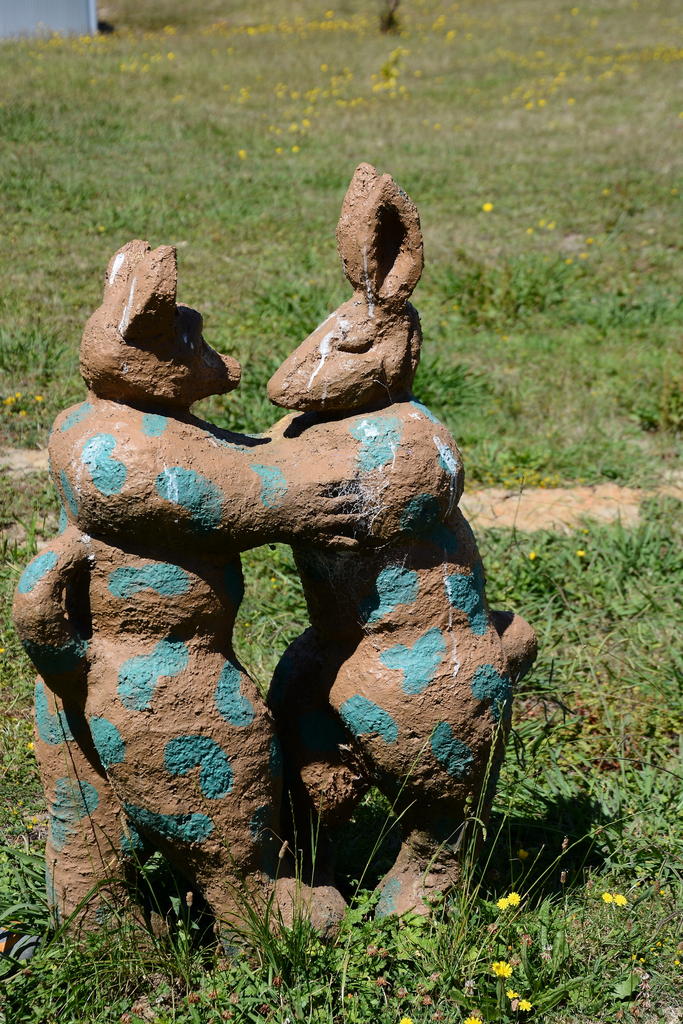 DSC_5979.jpg