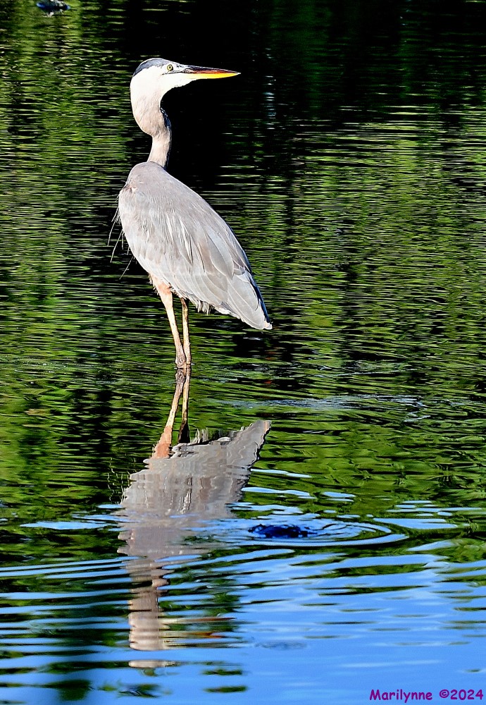 DSC_5980_001.JPG
