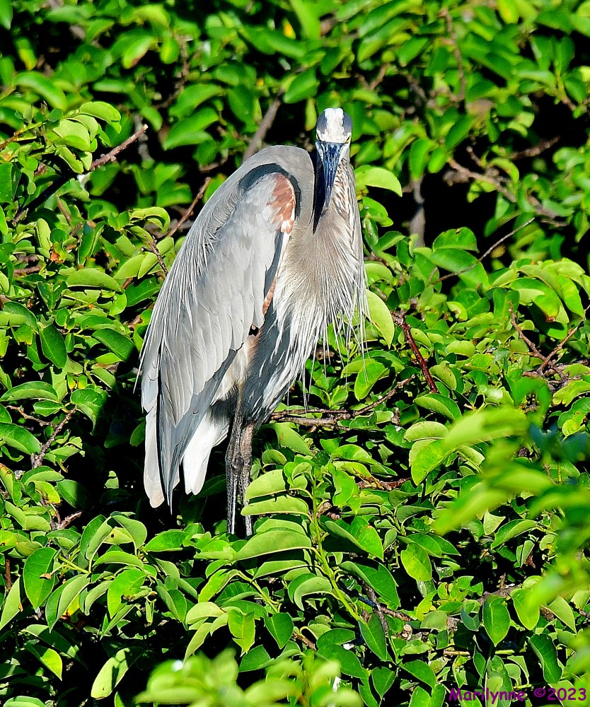 DSC_5987_001.JPG