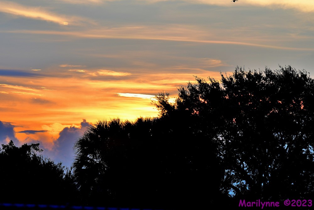 DSC_5998_001.JPG