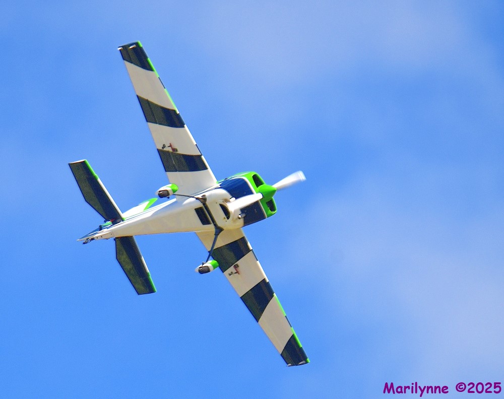DSC_6001_001.JPG