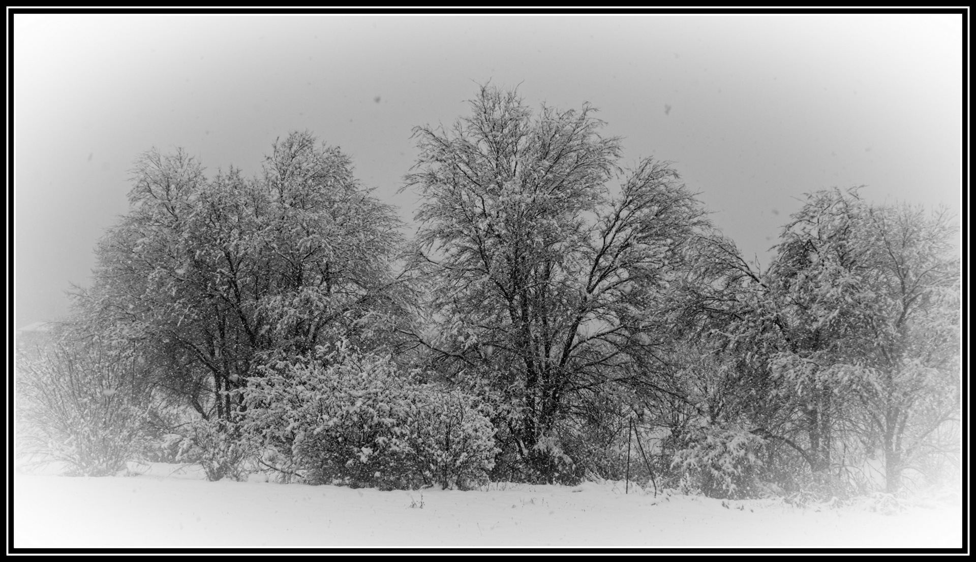 DSC_6007-Edit.jpg